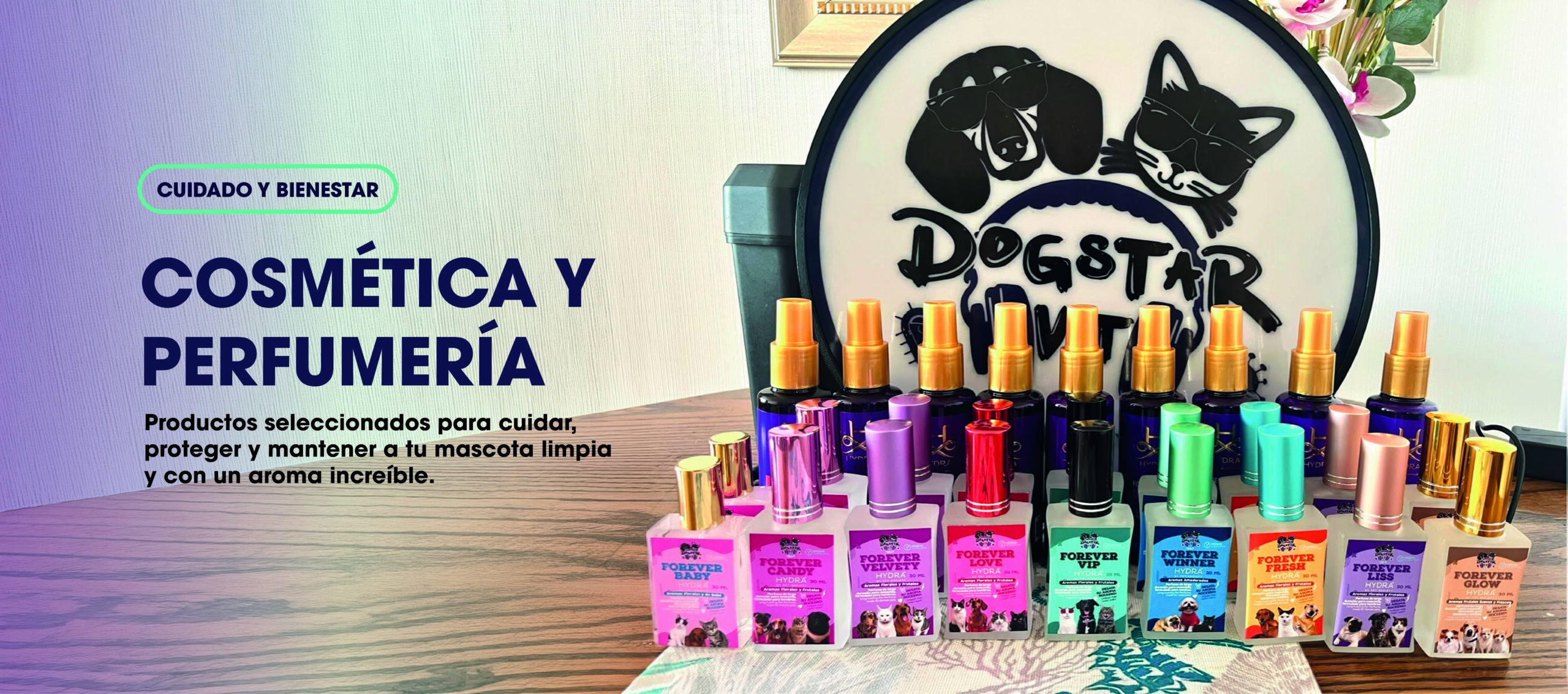 carrusel portada dogstarvet-02